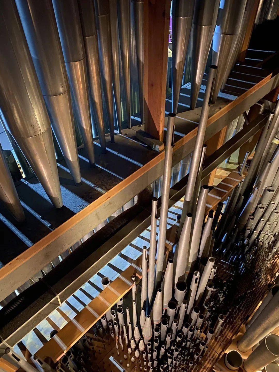 关于犹他爵士训练开放日,窗口期回应争议引欢呼,葡超在即,轮换策略成焦点的信息 关于犹他爵士训练开放日,窗口期回应争议引欢呼,葡超在即,轮换策略成焦点的信息